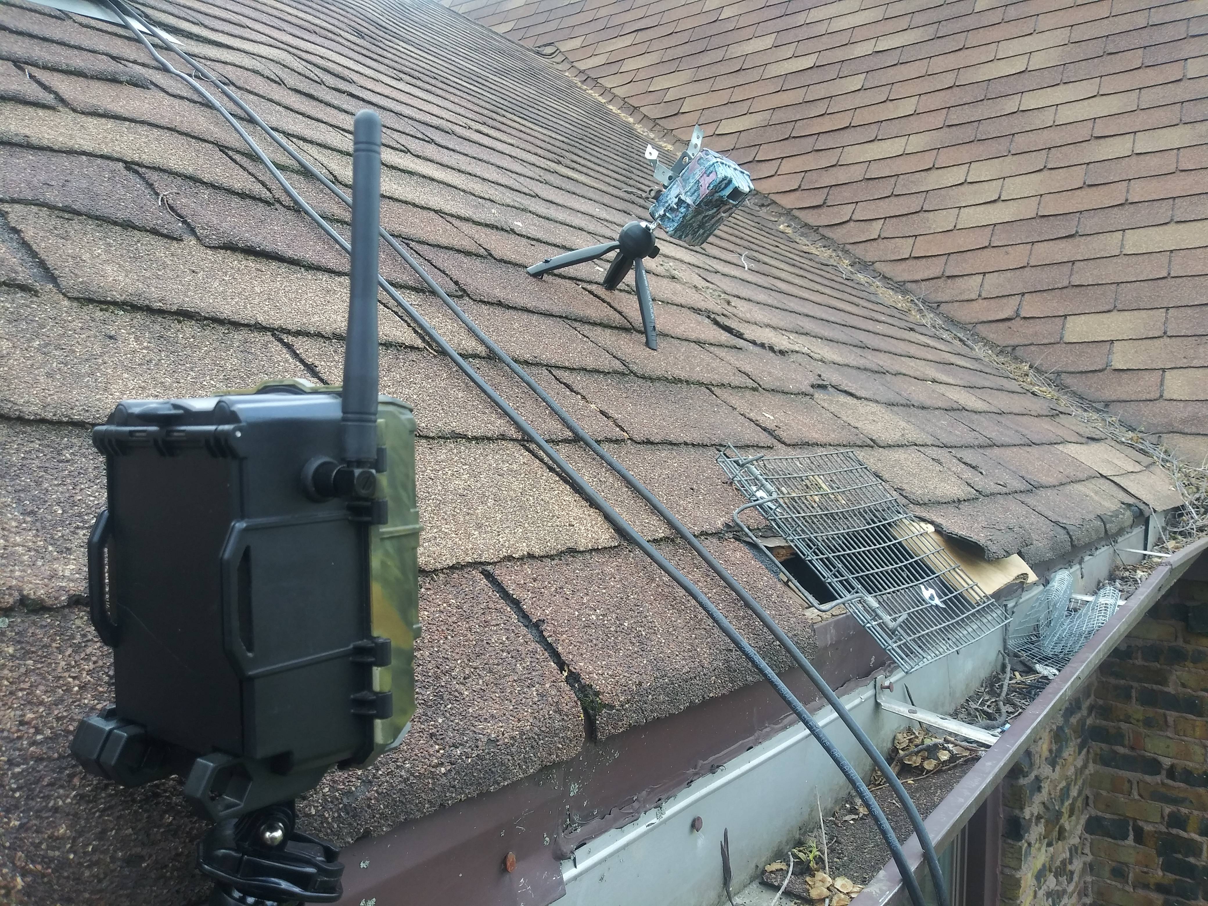 Trail Cam Rec. Wi-Fi Internet Connection. for Monitor Purpose.