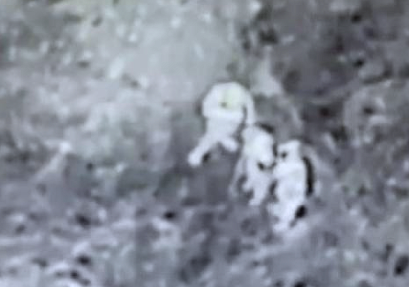 Search and Rescue Drones are Tools for Saving Lives