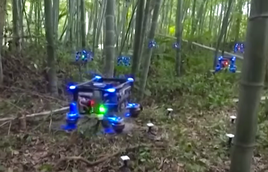 Autonomous Drone Swarm Navigates a Bamboo Forest