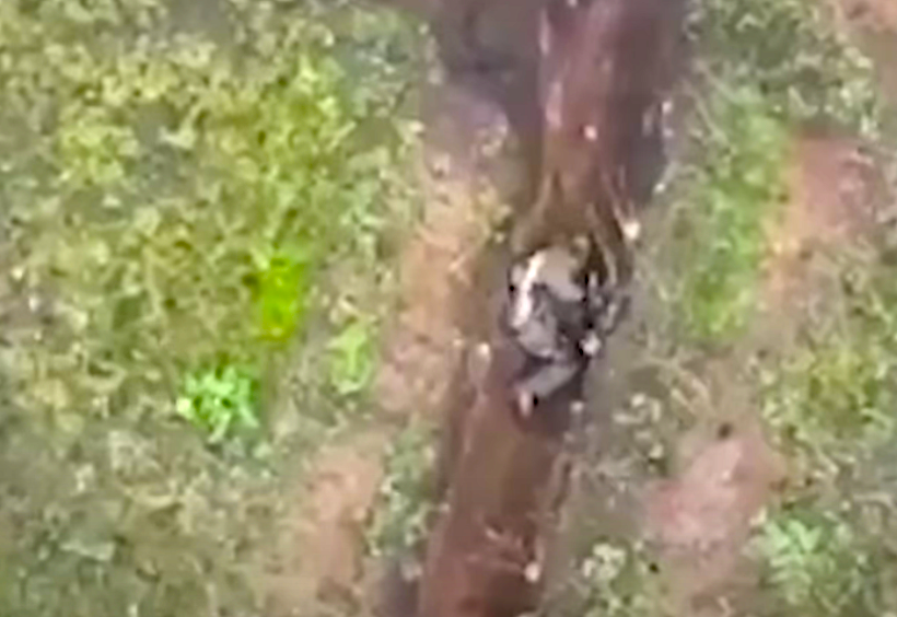 Under Attack: Russian Solider Catches & Tosses Drone Bombs