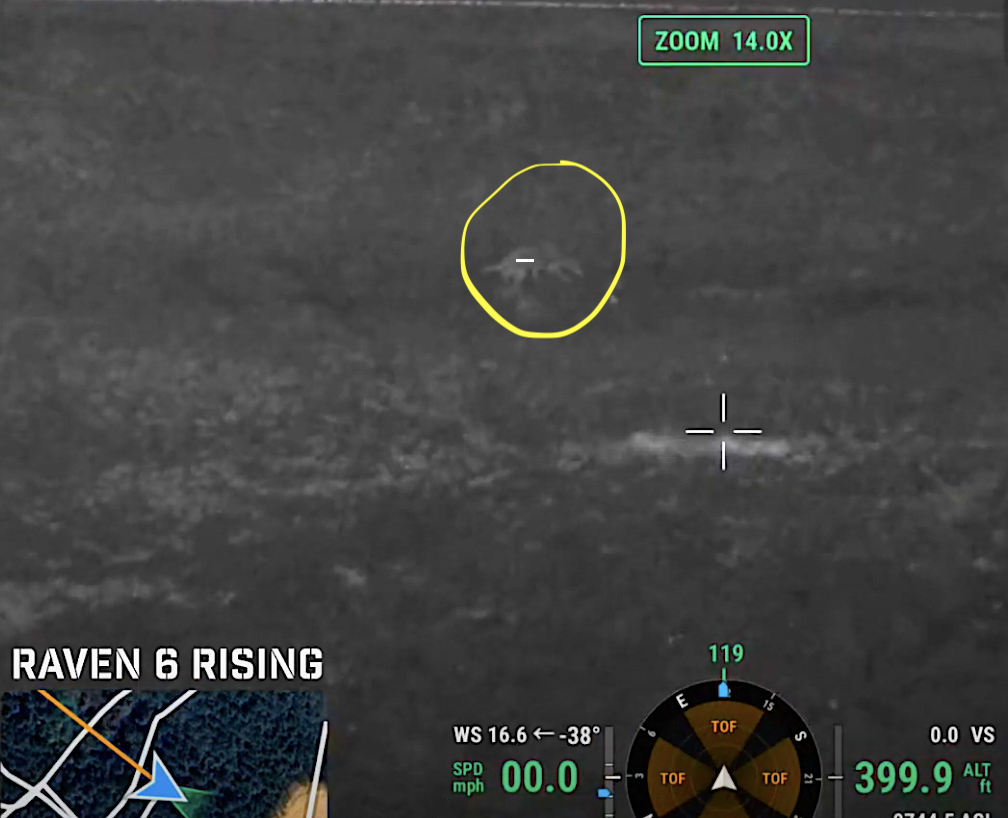 Drone Finds Linus the Dog After Ten Days Missing