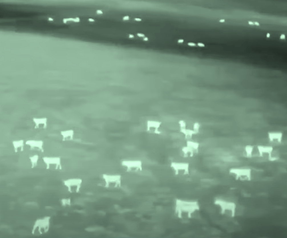 AC/DC's "Thunderstruck" Is Screaming from Drones to Save livestock