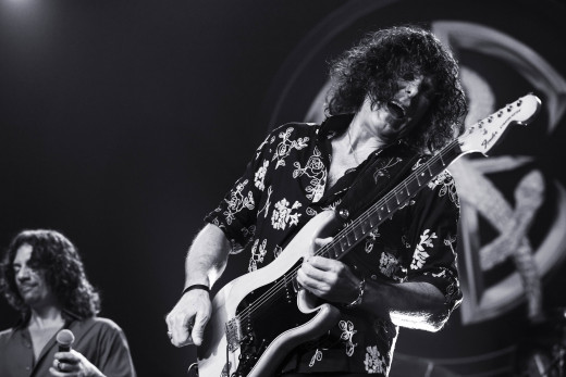 What the Hell Am I Doing?