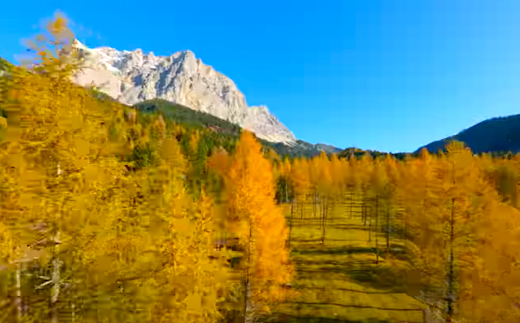 BBC Uses Drones to Expose the Secret Life of Plants!