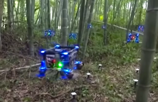 Autonomous Drone Swarm Navigates a Bamboo Forest