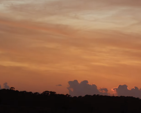 Pilot Story: Caleb Rimmer