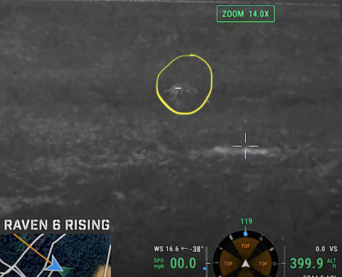 Drone Finds Linus the Dog After Ten Days Missing